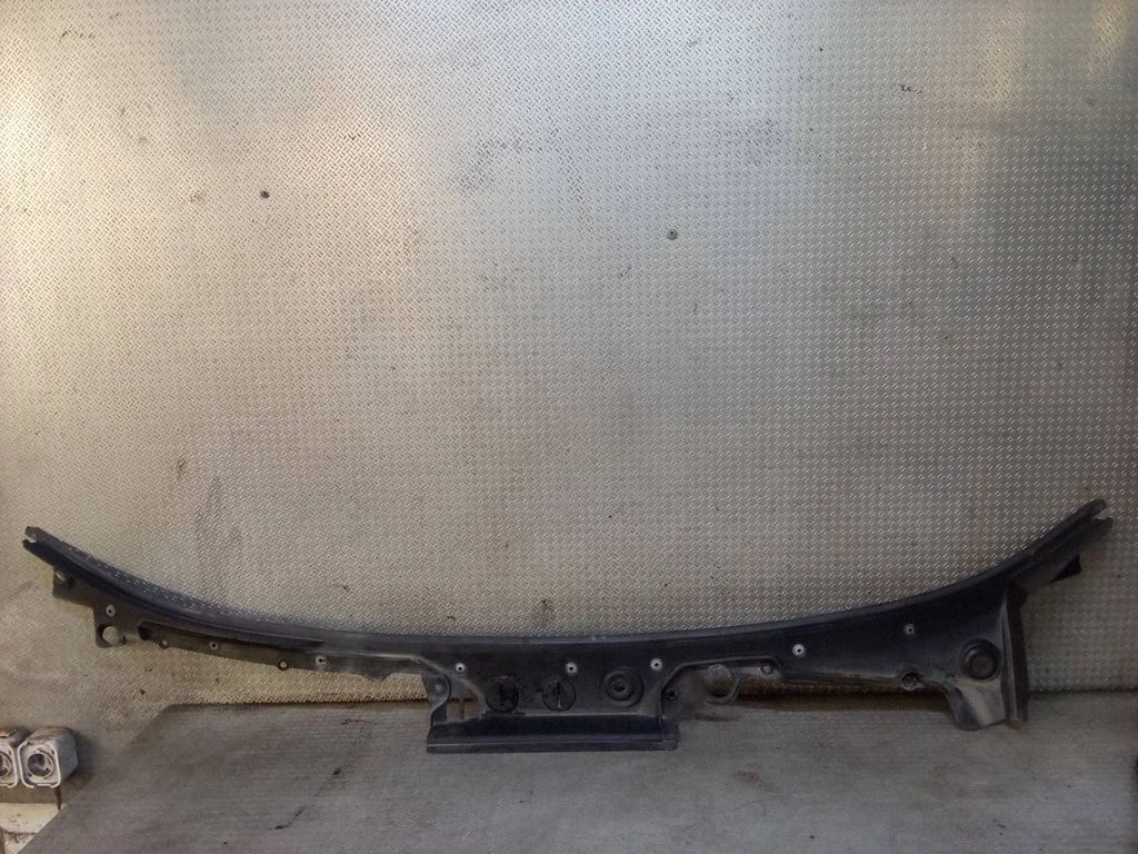 Wiper trim 51717184563