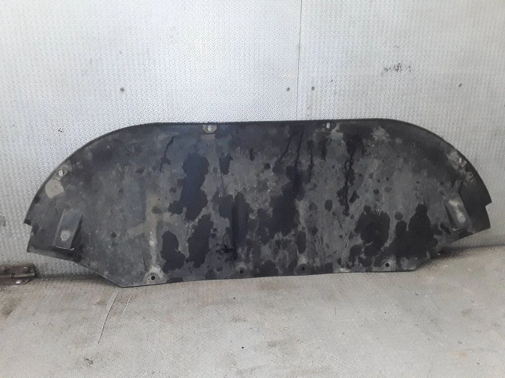 Esistange põhjakaitse 31255835