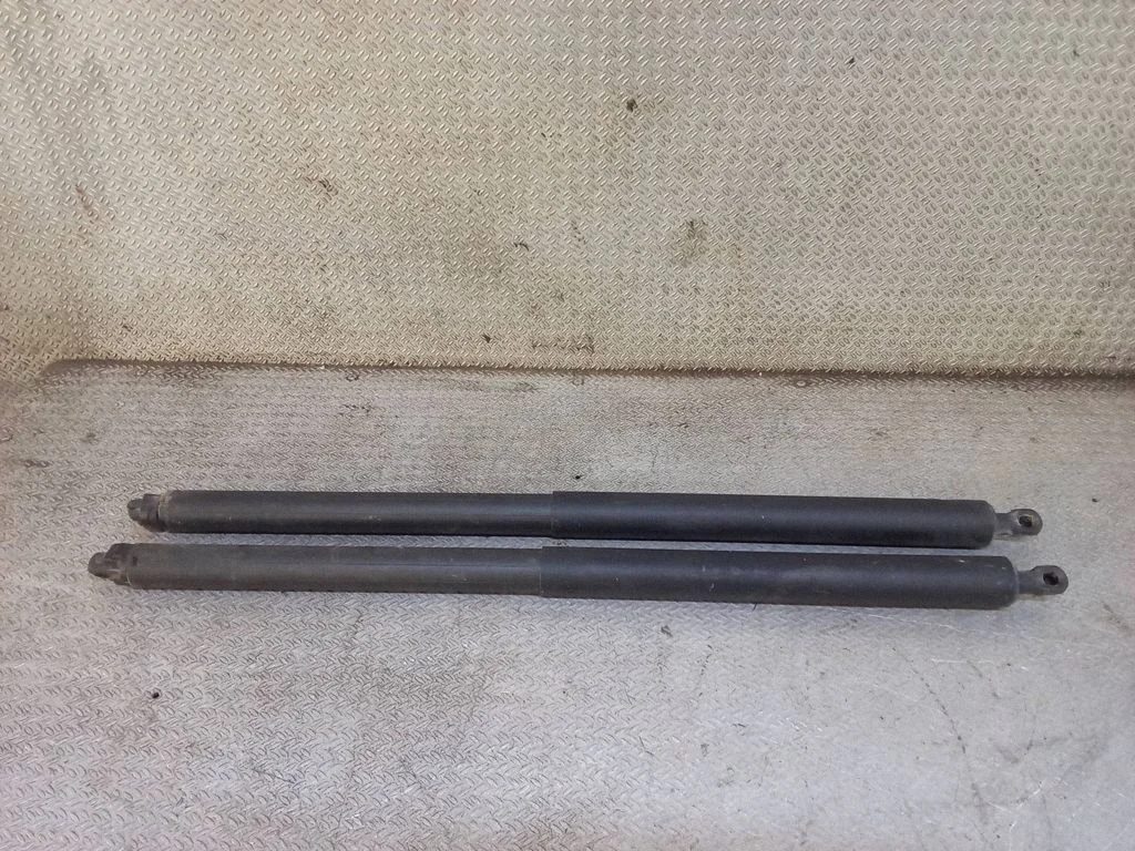 Tailgate/trunk strut/damper