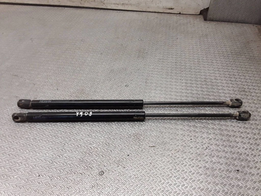 Tailgate/trunk strut/damper
