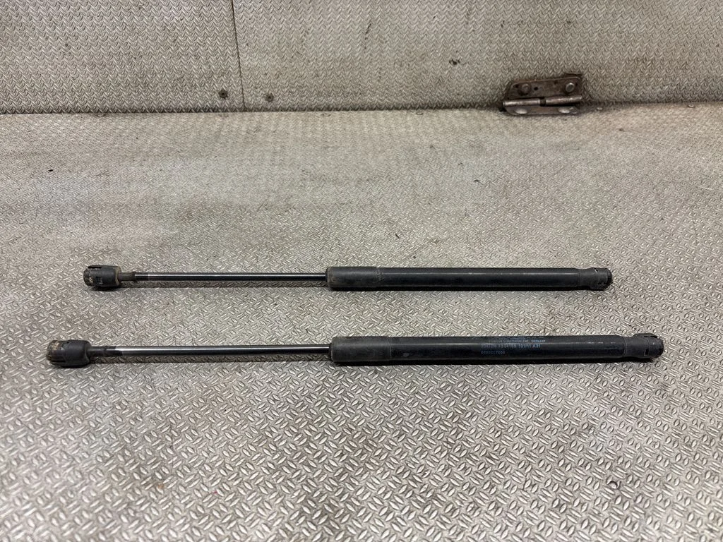 Tailgate/trunk strut/damper