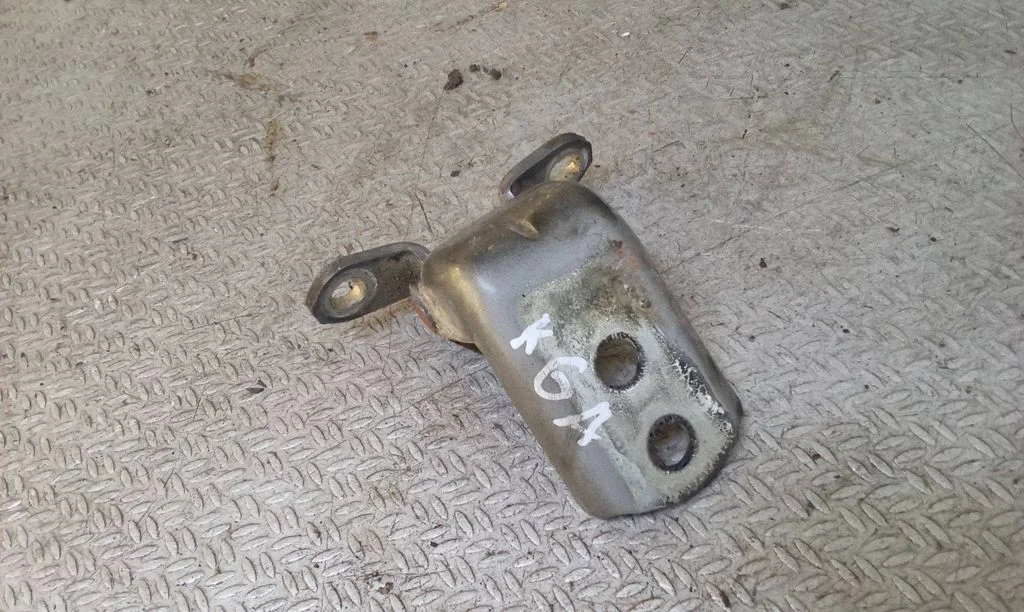 Rear door lower hinge – rear left