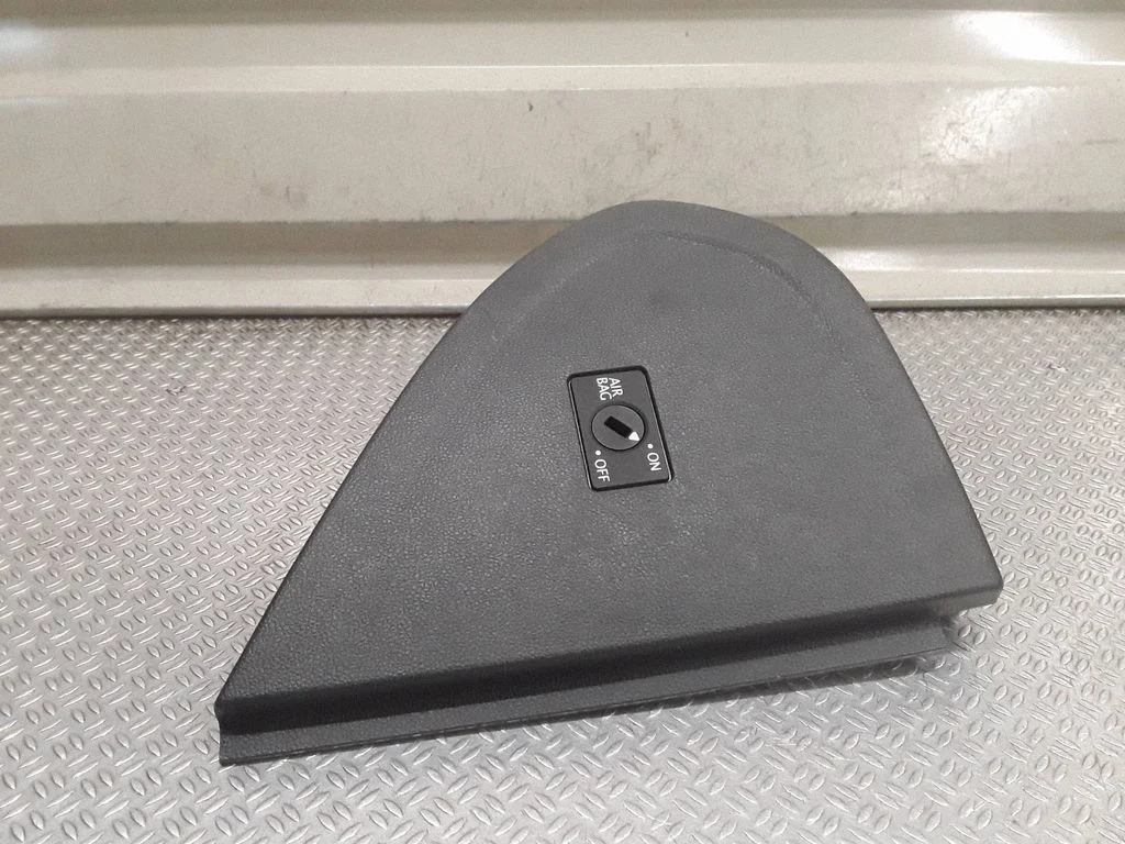 Paneļa apdares panelis (sānu) 1S0858248