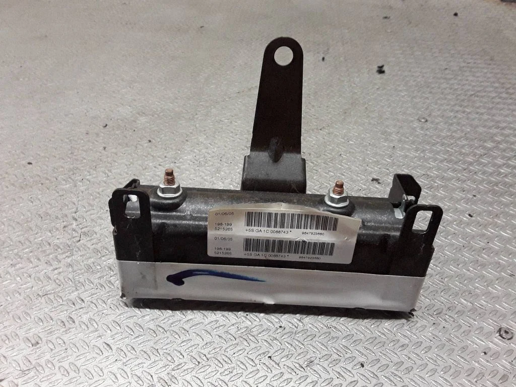 Rear door airbag 9647923680