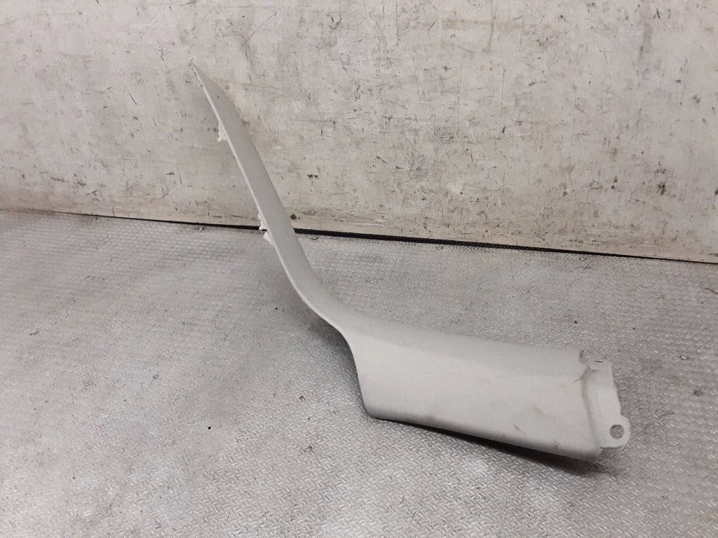 (D)pillar trim (top) A1646902325