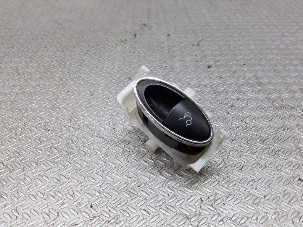 Tailgate/boot open switch button 501C04469200