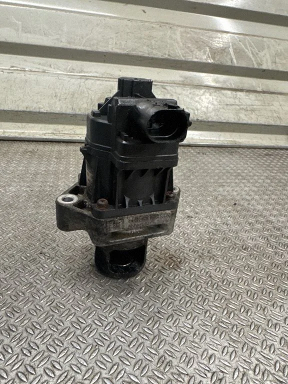 EGR-klapp 55566052
