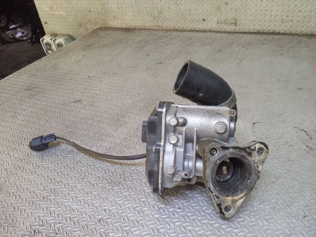 EGR-klapp H8201143495