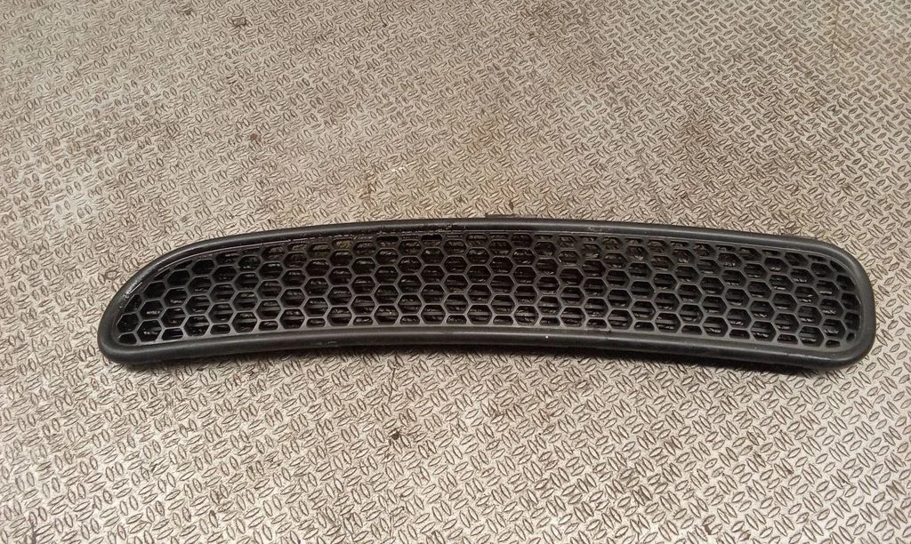 Bonnet/hood grill 7122505