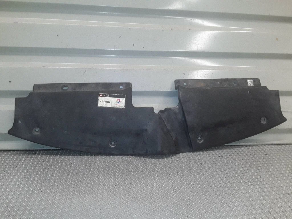 Radiator trim – Citroen C4 I (2004-2010)