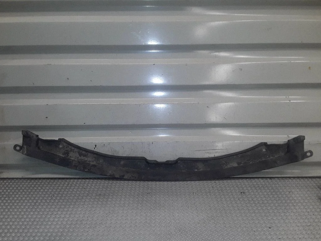 Radiator trim 865803E500