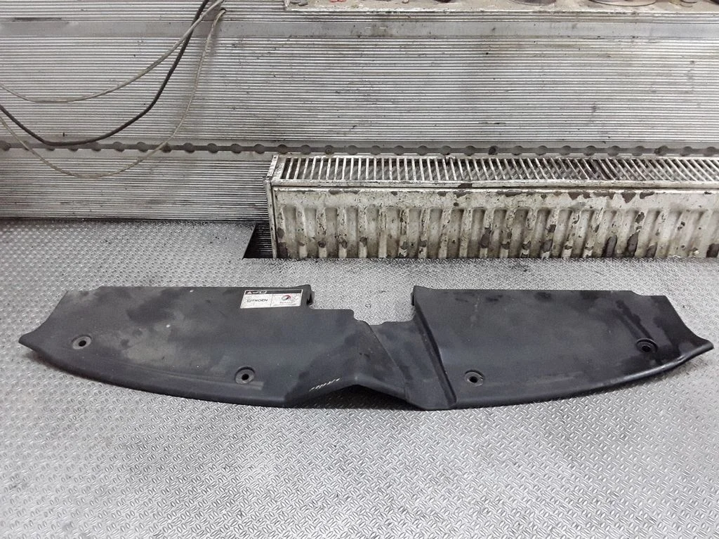 Radiator trim – Citroen C4 I (2004-2010)