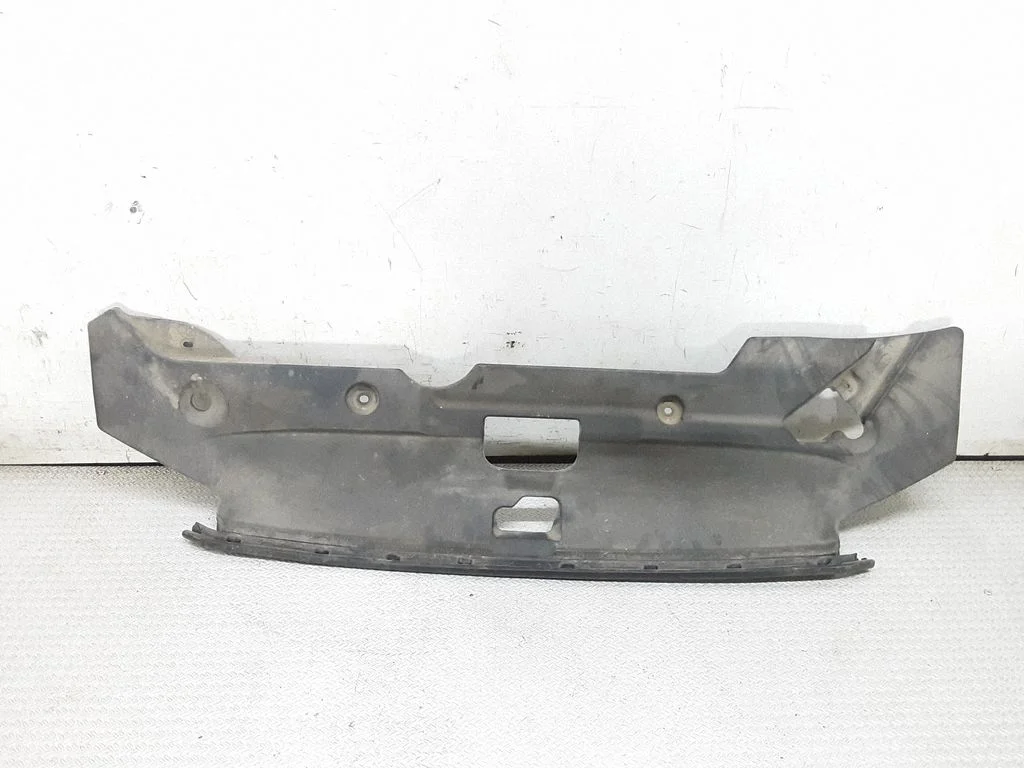 Radiator trim 6400C948
