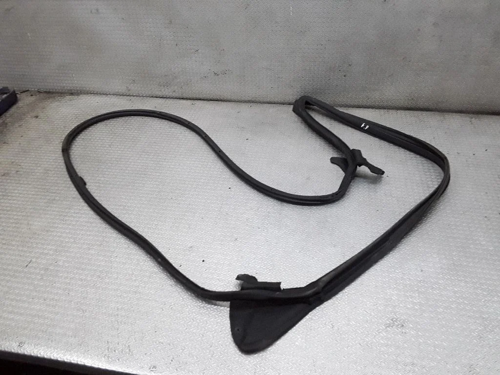 Rubber seal front coupe door – left