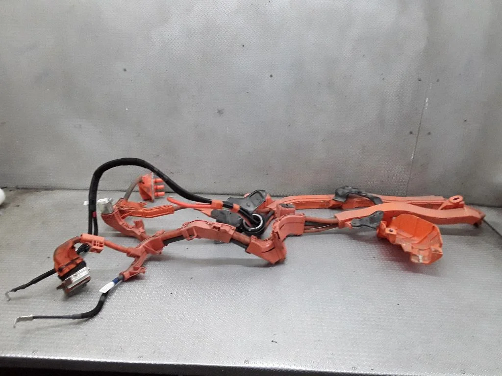 Other wiring loom