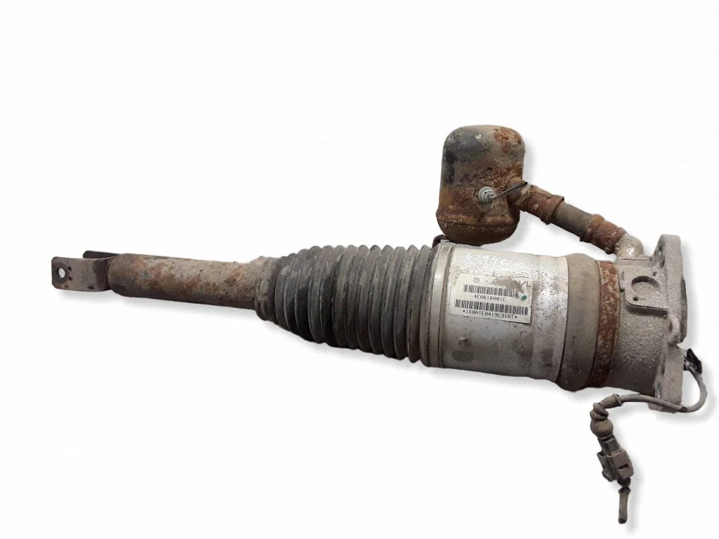 Tagumine õhkvedrustuse padi amortisaatoriga 4E0616001E