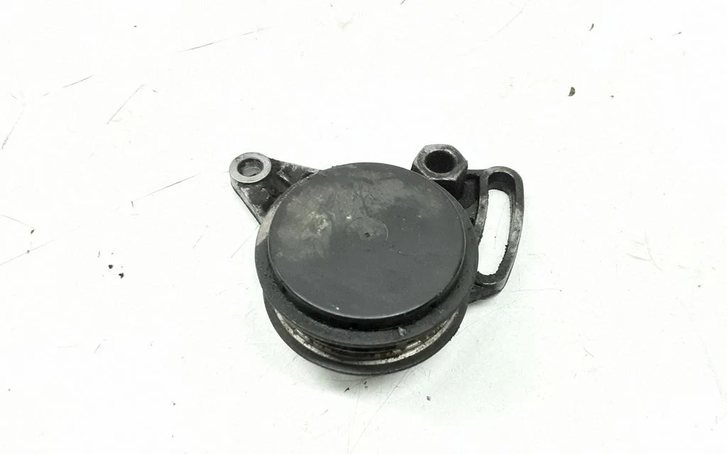 Napinacz paska klimatyzacji – Volkswagen Passat B5.5 (2001-2005)