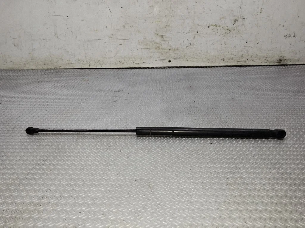 Tailgate strut 3987SB
