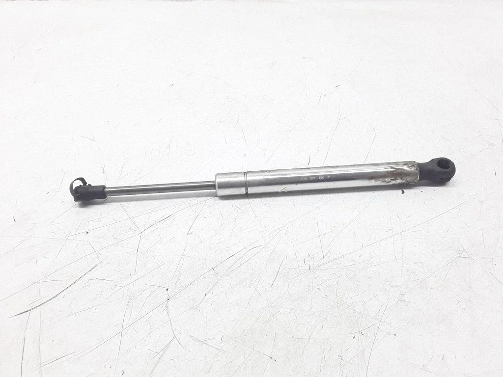 Tailgate strut 3D5827550B