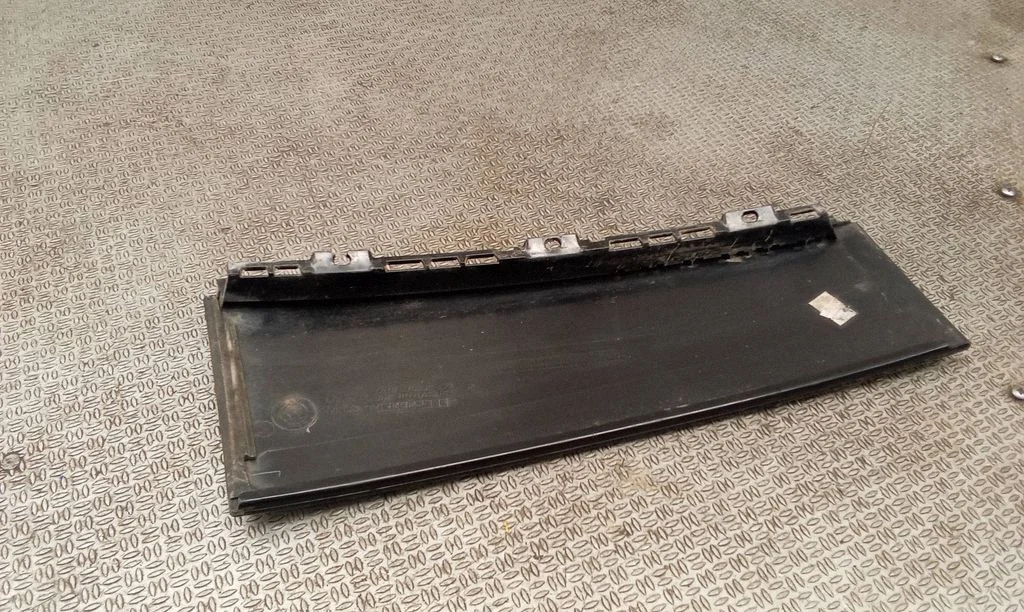 Rear door glass trim molding 5L0839904