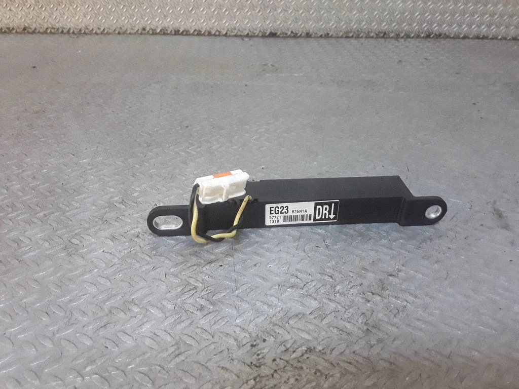 Keyless system antenna EG23676N1A