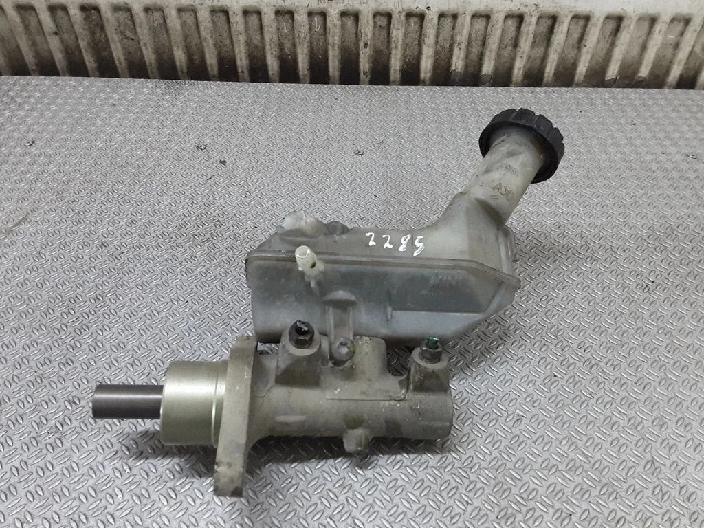 Piduri peasilinder 8200129956