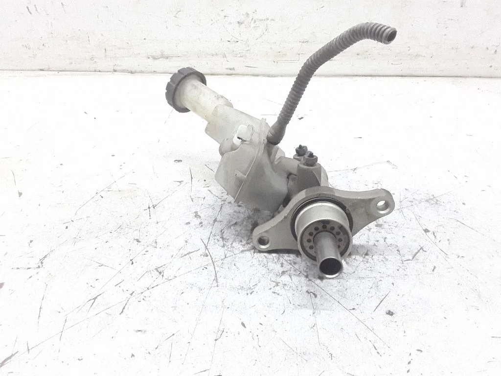 Piduri peasilinder – Renault Clio III (2005-2012)
