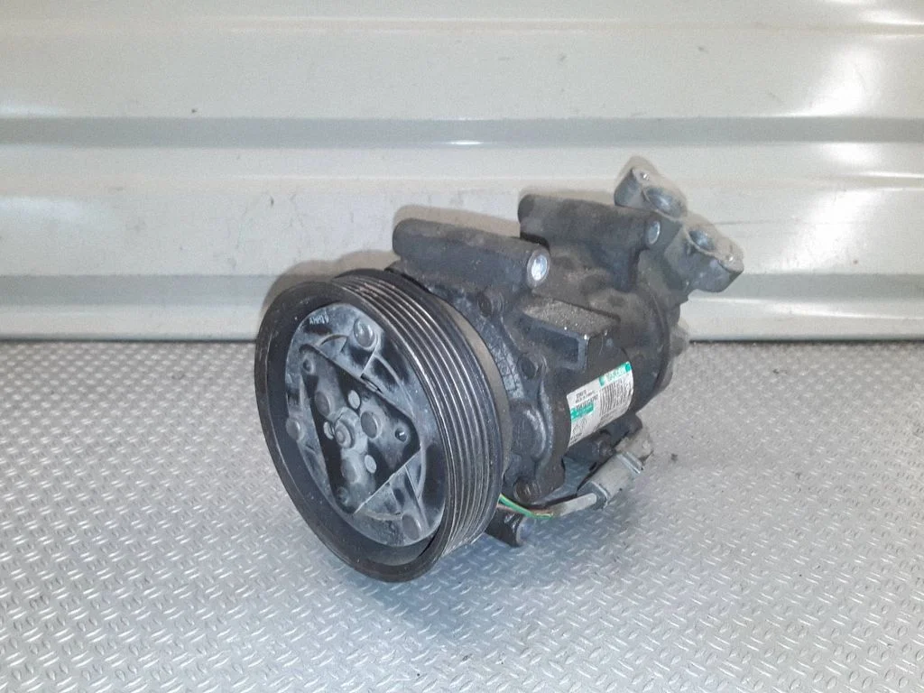 Gaisa kondicioniera kompresors (sūknis) – Renault Clio III (2005-2012)