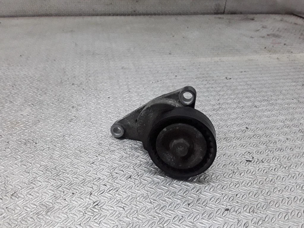 Generator/alternator belt tensioner – Citroen C3 (2002-2004)