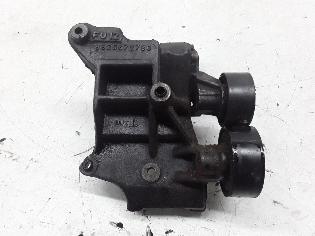 Generator/alternator belt tensioner – Peugeot 406 (1999-2006)