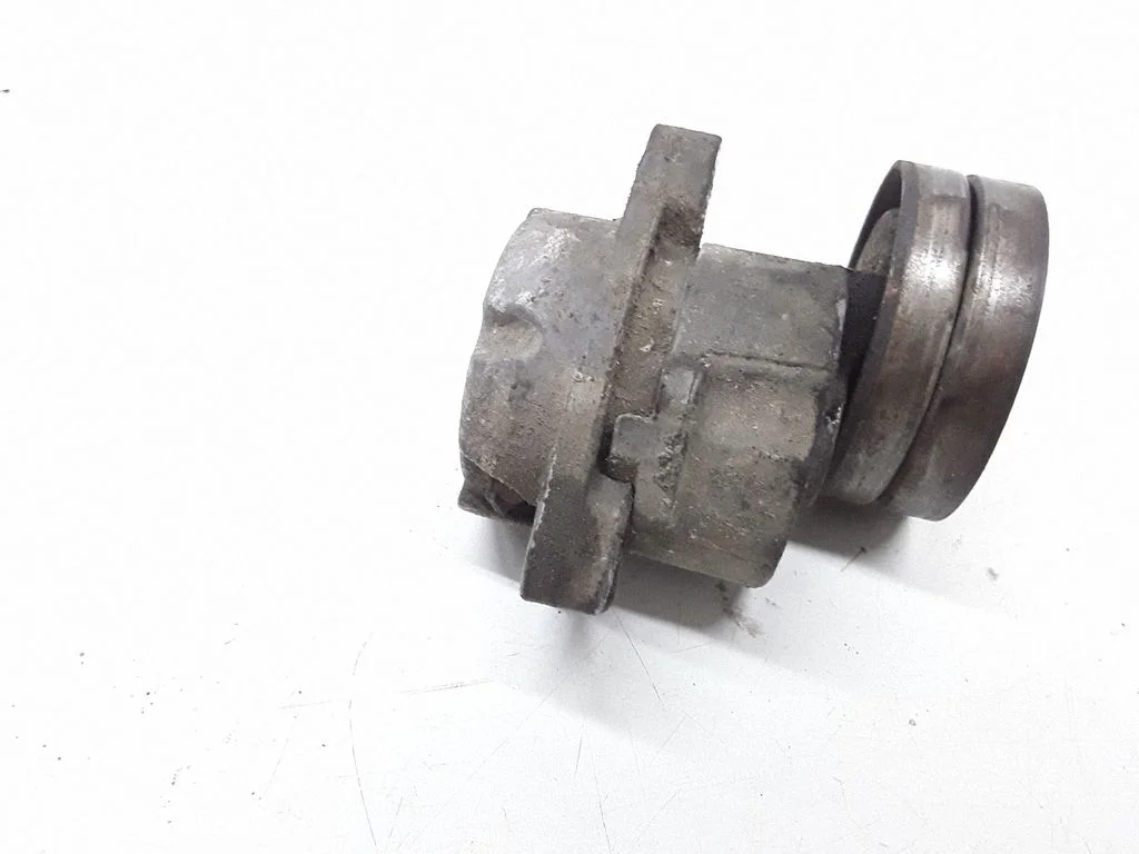 Napinacz paska – Opel Omega B2 (1999-2003)