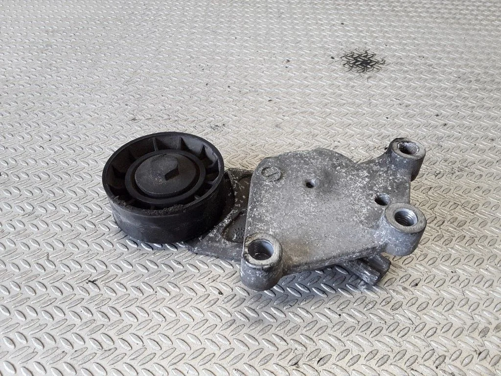 Generator/alternator belt tensioner – Citroen C3 (2002-2004)
