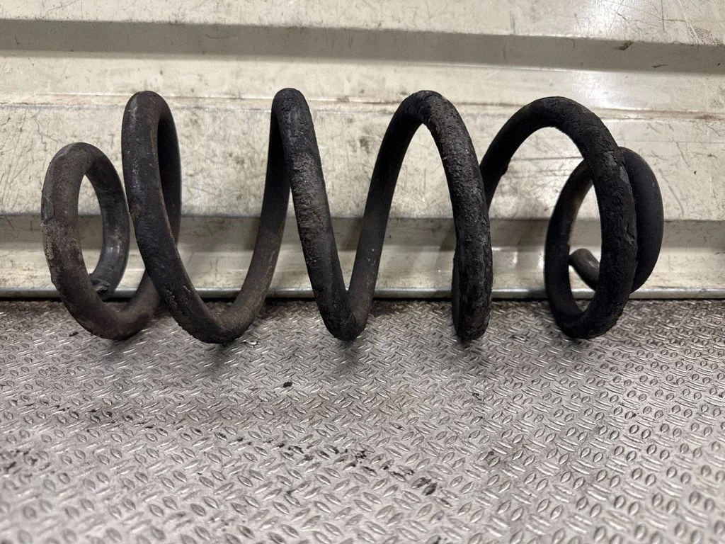 Rear coil spring