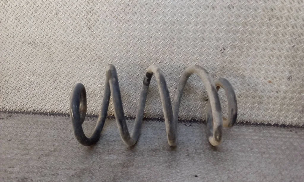 Rear coil spring