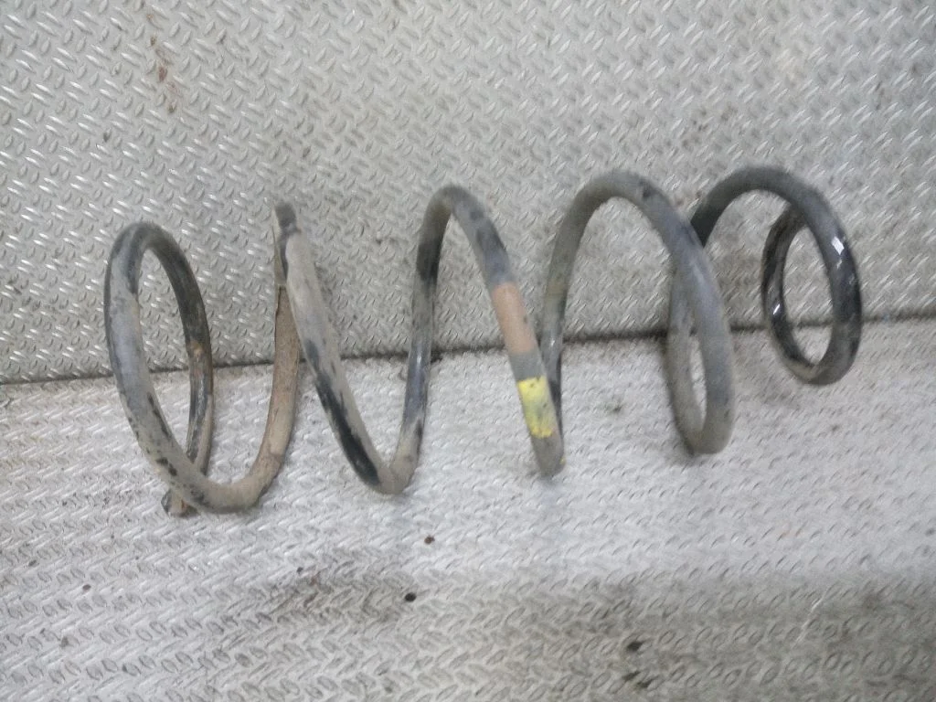 Rear coil spring