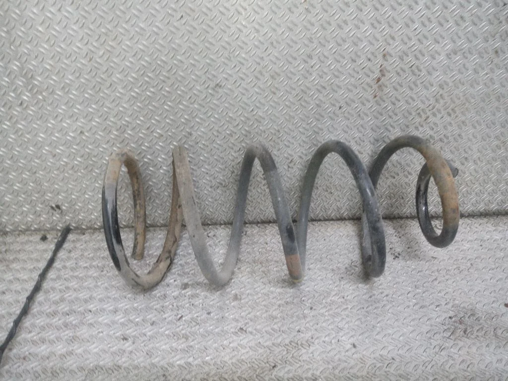 Rear coil spring