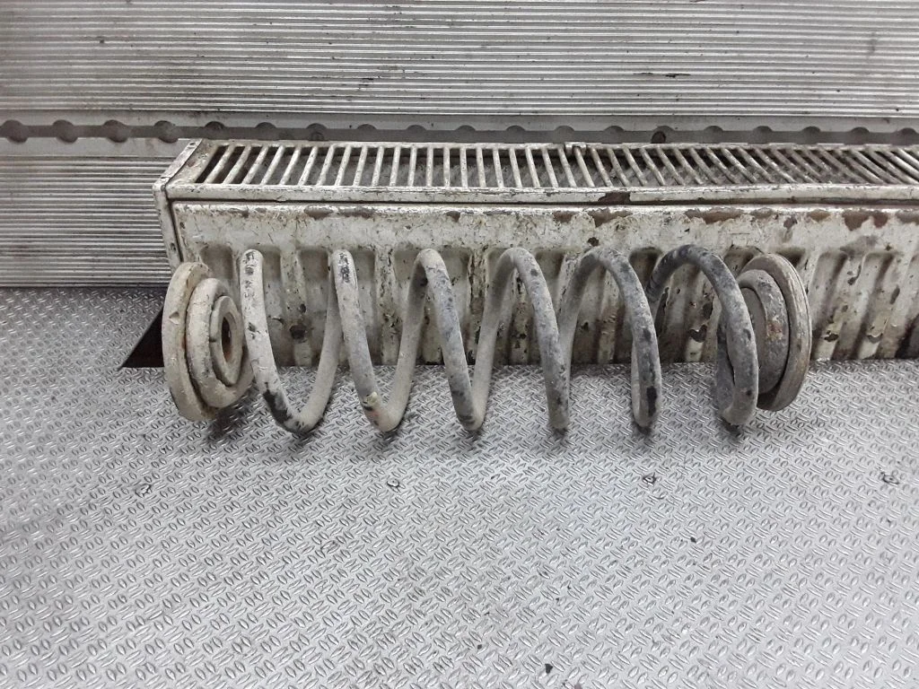 Rear coil spring