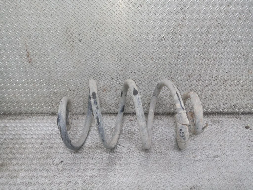 Rear coil spring