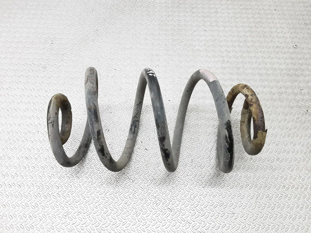 Rear coil spring