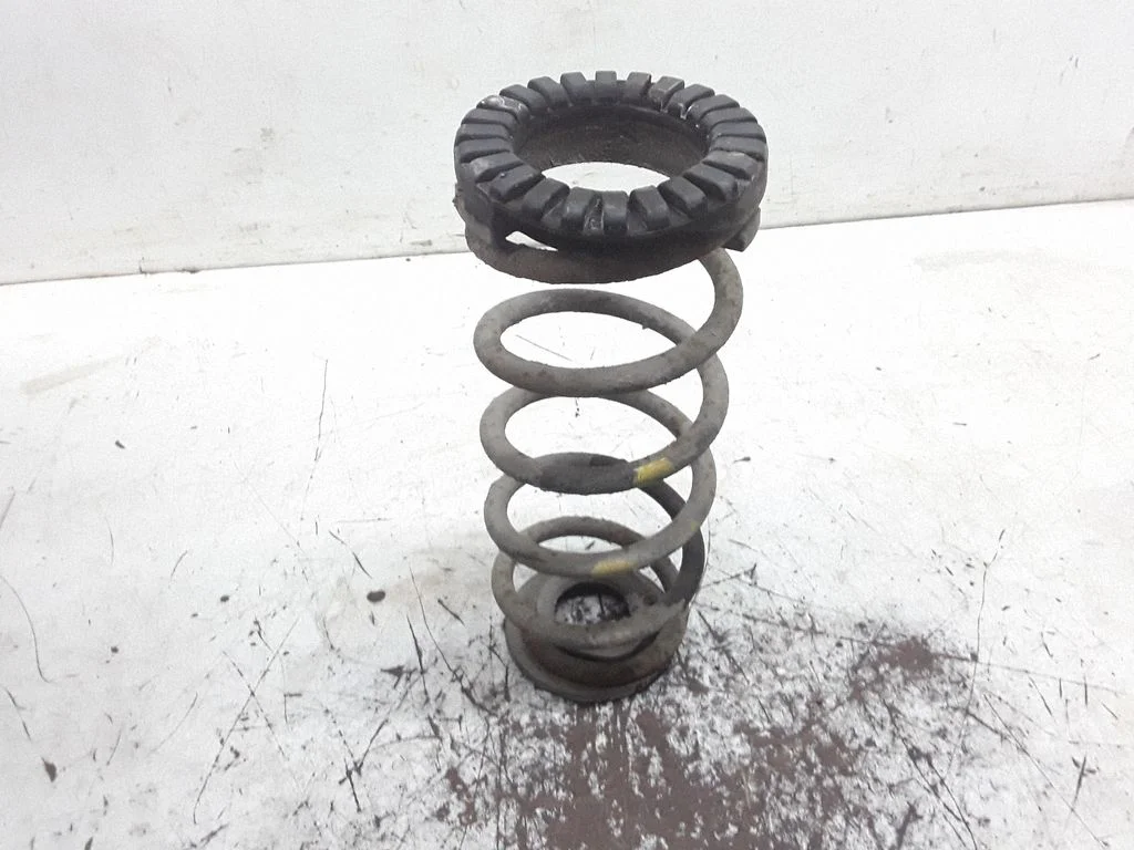 Rear coil spring