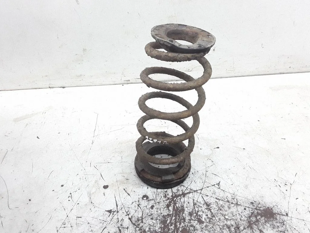 Rear coil spring