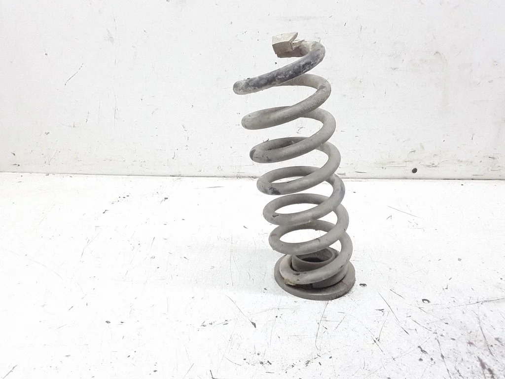 Rear coil spring