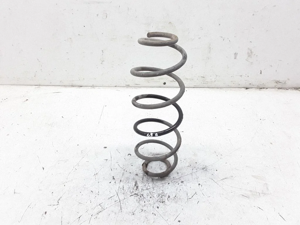 Rear coil spring