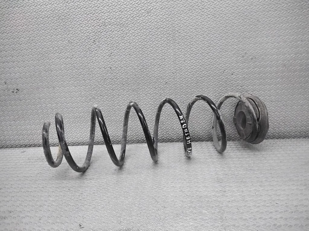 Rear coil spring