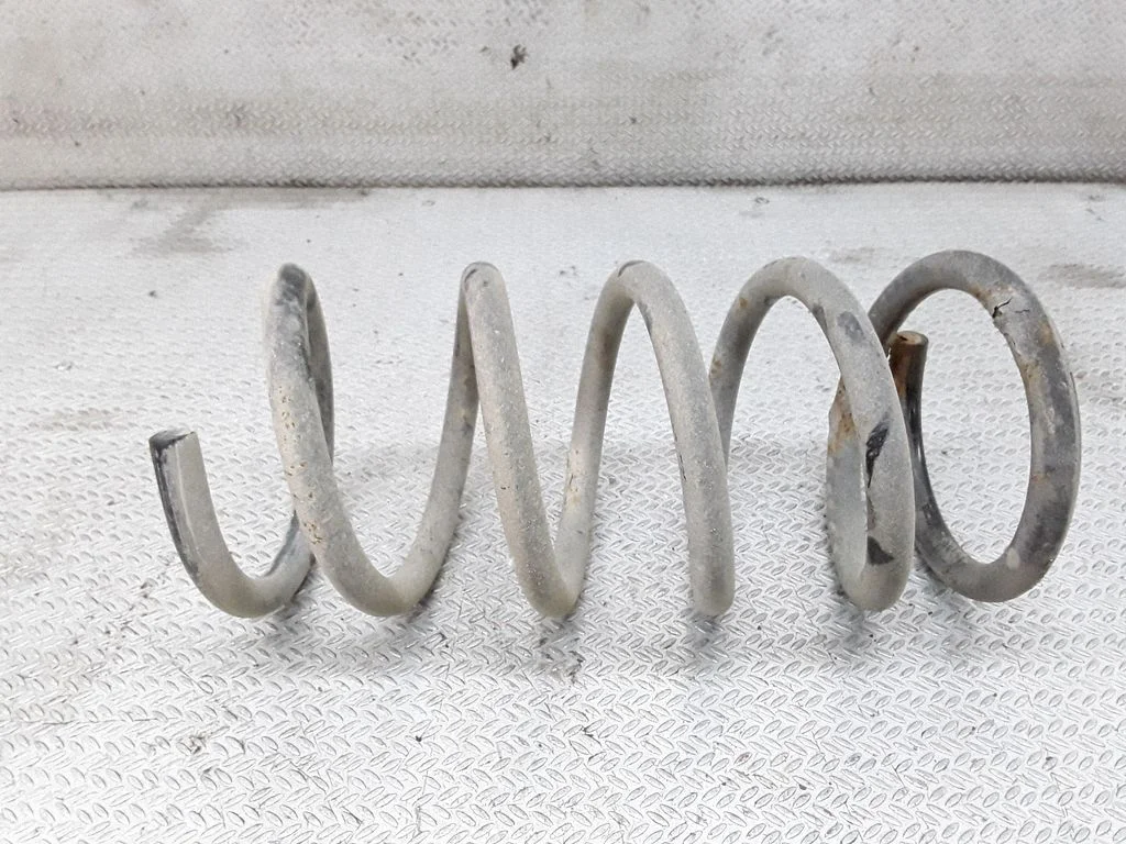 Rear coil spring