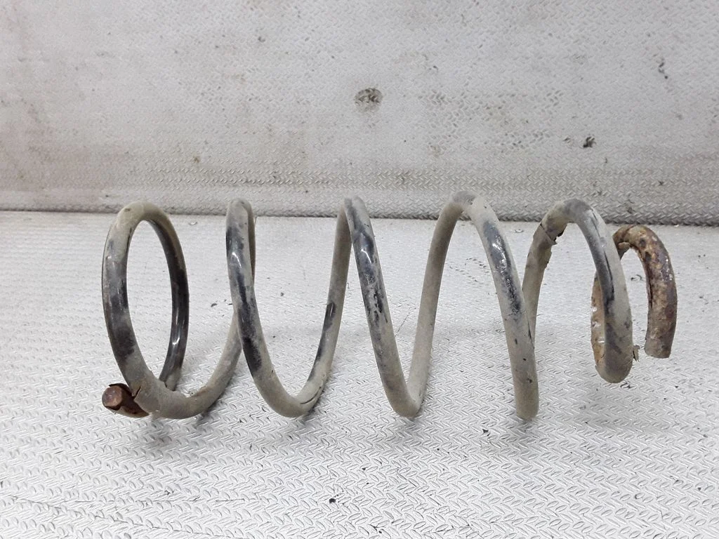 Rear coil spring