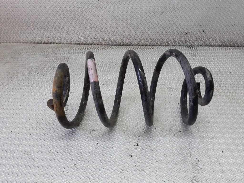 Rear coil spring
