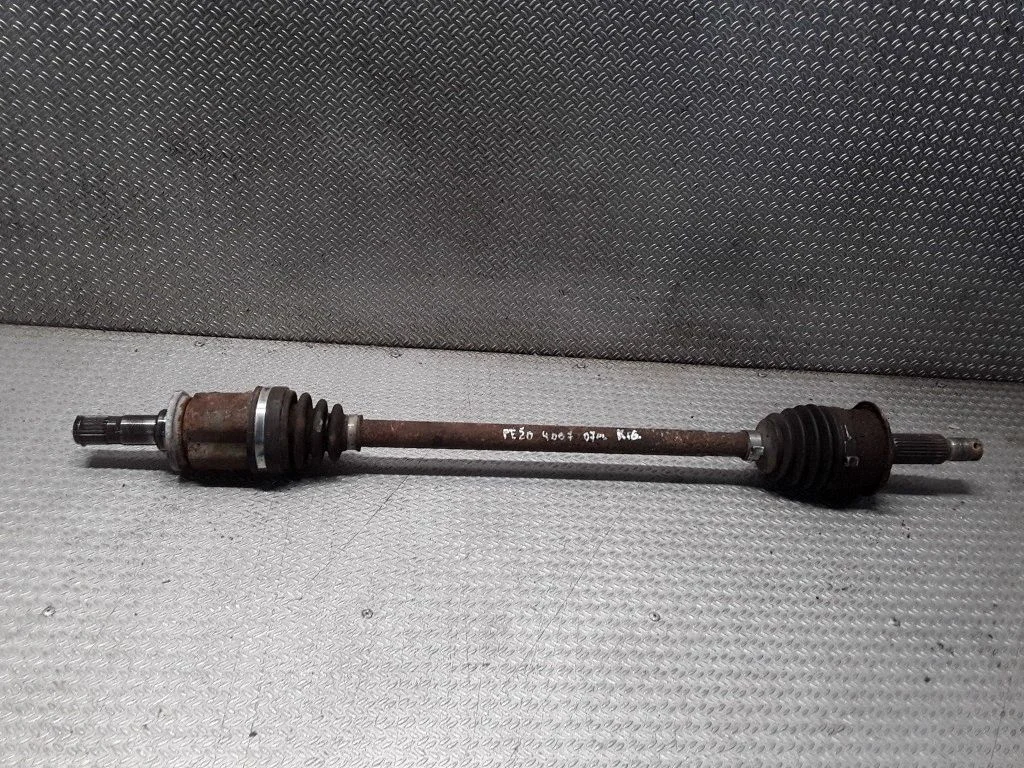 Tagumine pooltelg – vasak