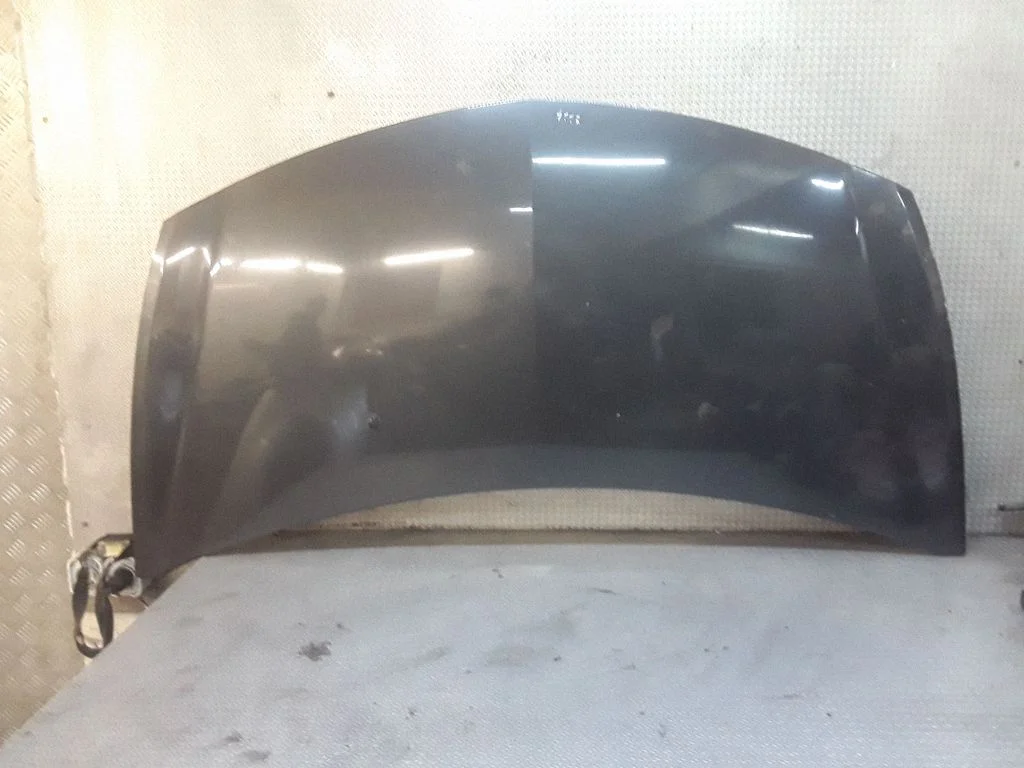 Maska – Renault Clio III (2005-2012)