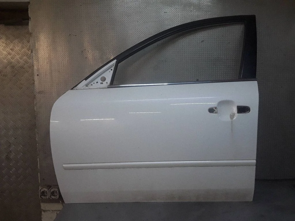Drzwi przednie – Hyundai Sonata (2006-2015), lewy przód